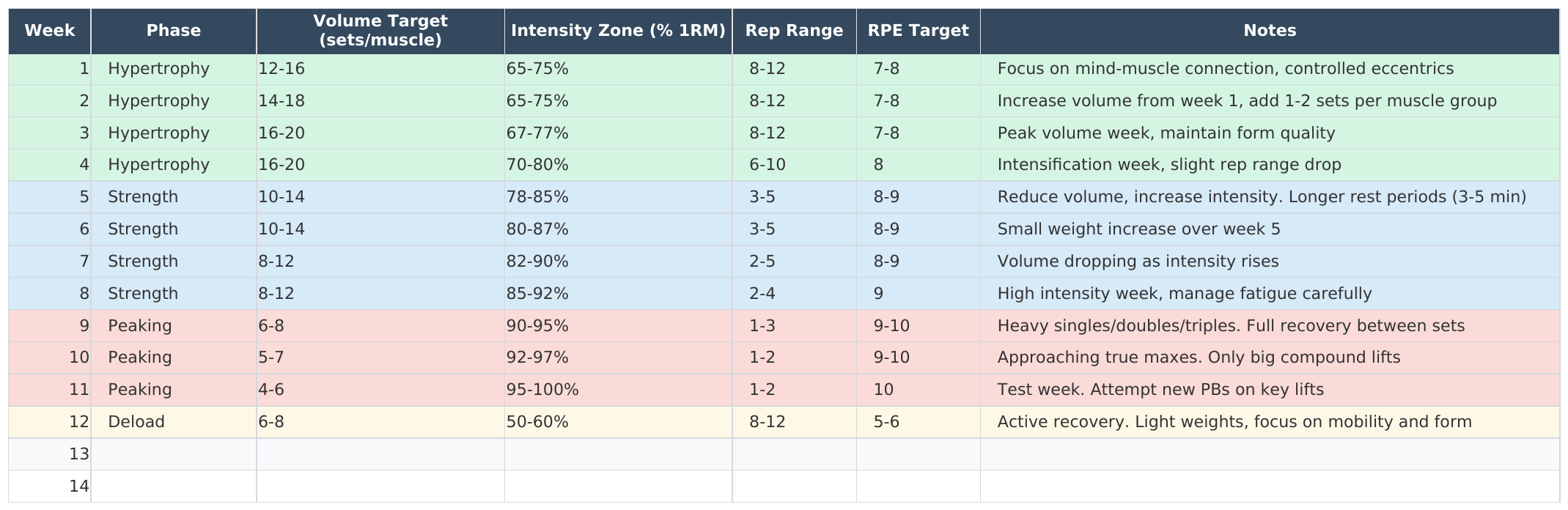 Periodization Planner: UK example excerpt.